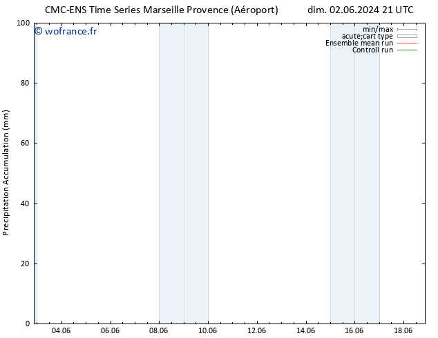 Précipitation accum. CMC TS lun 03.06.2024 21 UTC