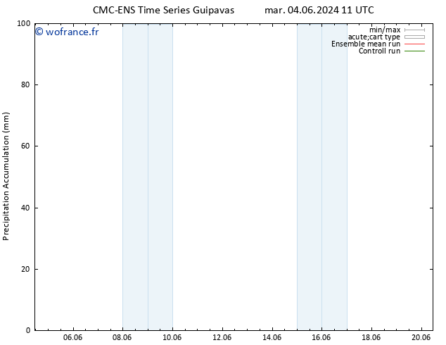 Précipitation accum. CMC TS mer 05.06.2024 11 UTC