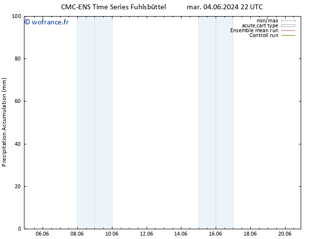 Précipitation accum. CMC TS mer 12.06.2024 04 UTC