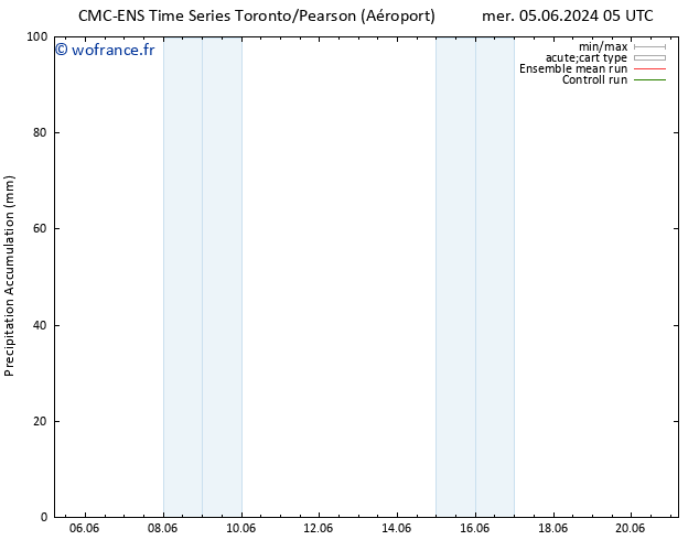 Précipitation accum. CMC TS mar 11.06.2024 17 UTC