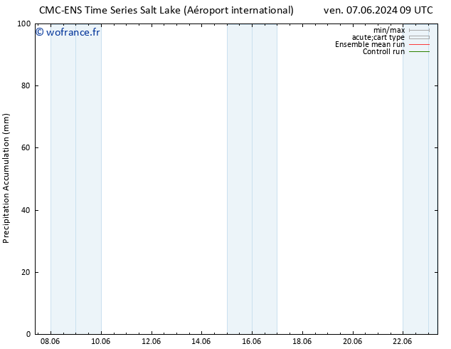 Précipitation accum. CMC TS lun 17.06.2024 15 UTC