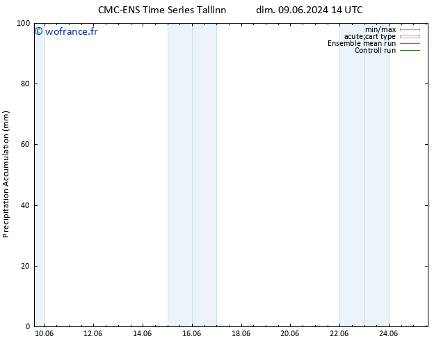 Précipitation accum. CMC TS dim 16.06.2024 02 UTC