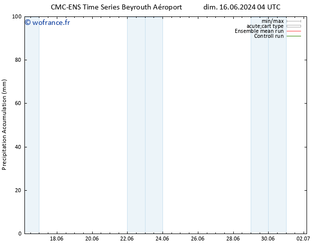Précipitation accum. CMC TS dim 16.06.2024 04 UTC