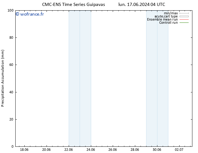 Précipitation accum. CMC TS ven 21.06.2024 10 UTC