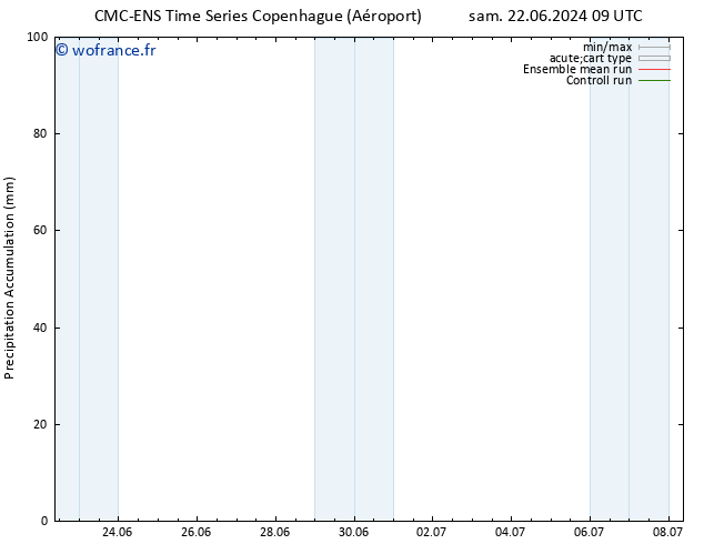 Précipitation accum. CMC TS lun 24.06.2024 03 UTC