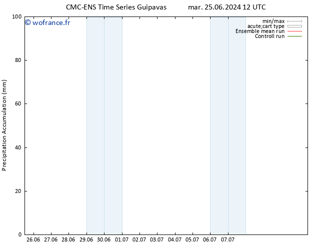 Précipitation accum. CMC TS dim 07.07.2024 18 UTC