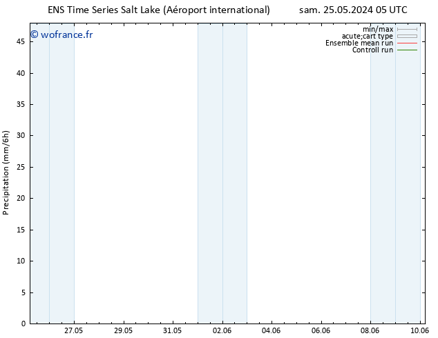 Précipitation GEFS TS mar 28.05.2024 11 UTC