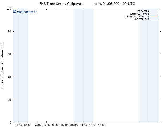 Précipitation accum. GEFS TS mar 11.06.2024 09 UTC