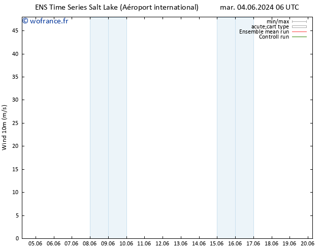 Vent 10 m GEFS TS mar 04.06.2024 18 UTC