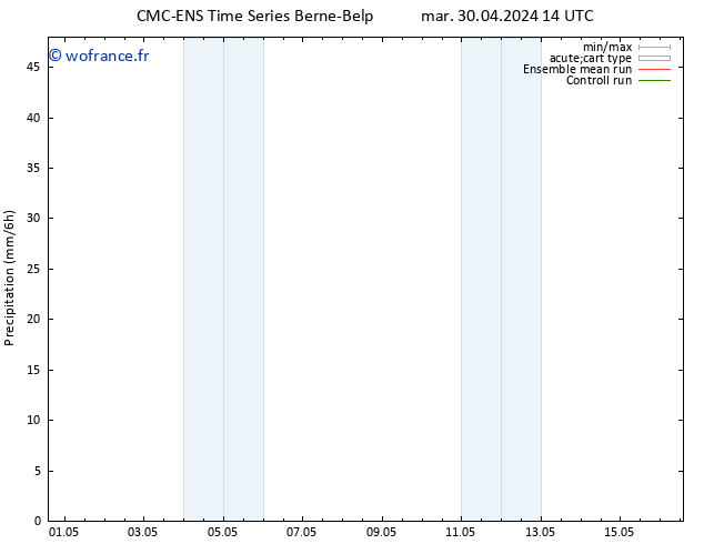 Précipitation CMC TS mar 30.04.2024 14 UTC