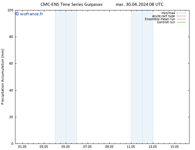 Précipitation accum. CMC TS dim 12.05.2024 14 UTC