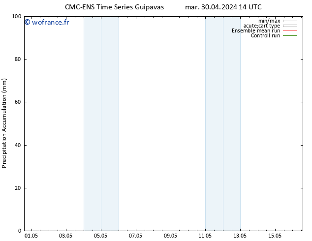 Précipitation accum. CMC TS mar 30.04.2024 20 UTC