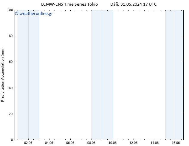 Precipitation accum. ALL TS  05.06.2024 17 UTC