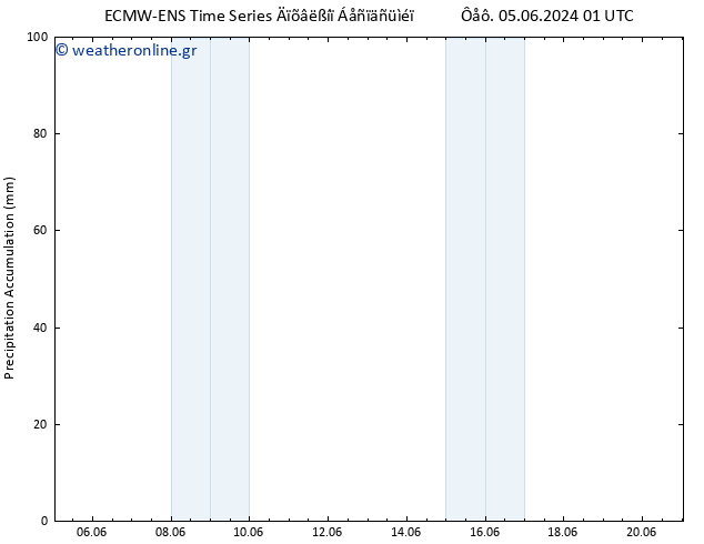 Precipitation accum. ALL TS  11.06.2024 13 UTC