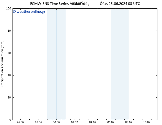 Precipitation accum. ALL TS  11.07.2024 03 UTC