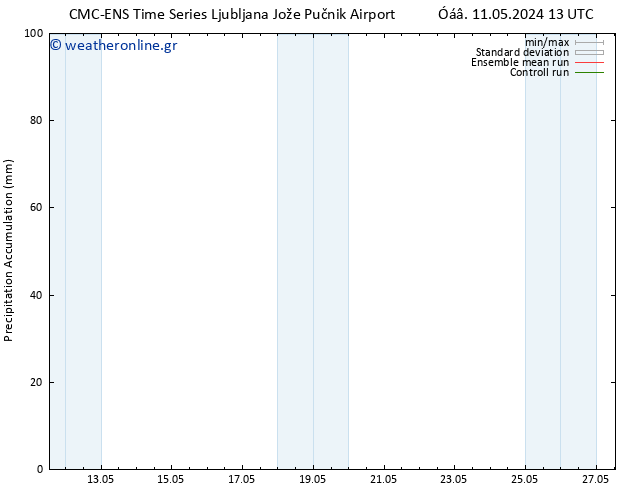 Precipitation accum. CMC TS  11.05.2024 19 UTC