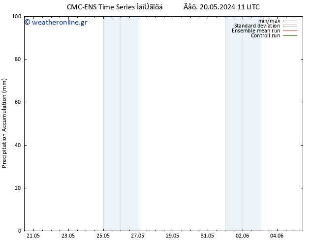 Precipitation accum. CMC TS  21.05.2024 11 UTC