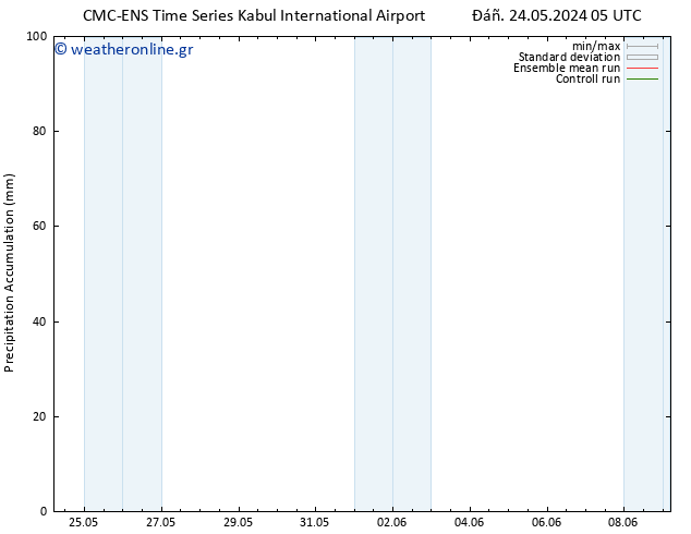 Precipitation accum. CMC TS  31.05.2024 11 UTC