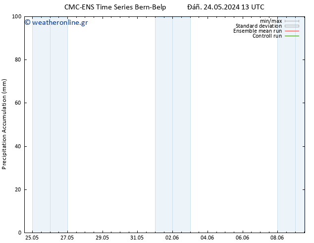 Precipitation accum. CMC TS  25.05.2024 07 UTC