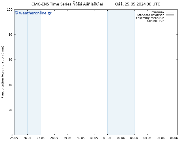 Precipitation accum. CMC TS  25.05.2024 06 UTC