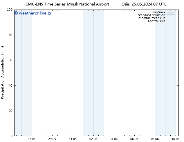 Precipitation accum. CMC TS  25.05.2024 13 UTC