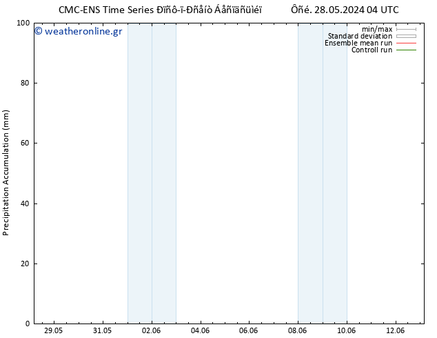 Precipitation accum. CMC TS  29.05.2024 10 UTC