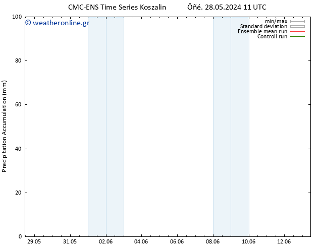 Precipitation accum. CMC TS  01.06.2024 23 UTC