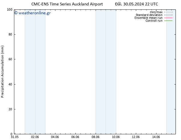 Precipitation accum. CMC TS  31.05.2024 16 UTC