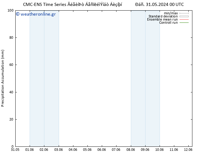 Precipitation accum. CMC TS  31.05.2024 06 UTC