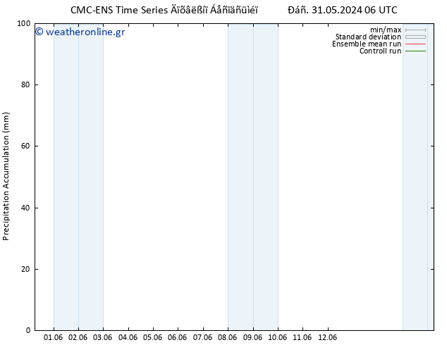 Precipitation accum. CMC TS  08.06.2024 18 UTC