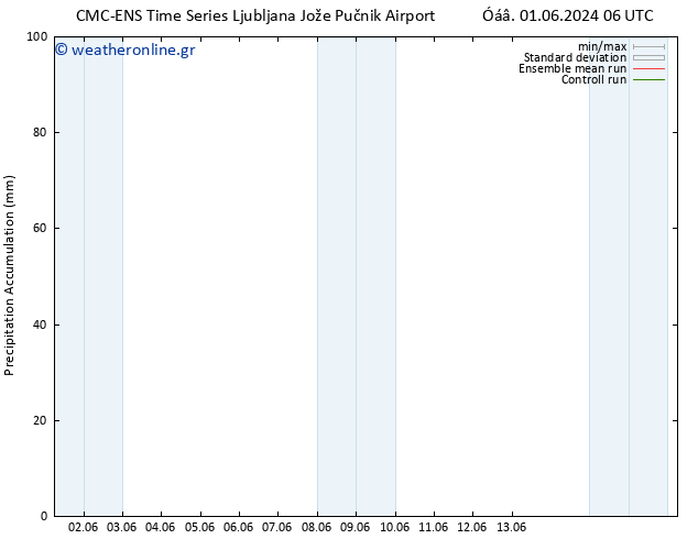 Precipitation accum. CMC TS  01.06.2024 18 UTC