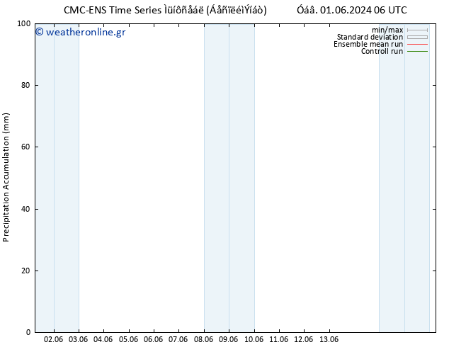 Precipitation accum. CMC TS  08.06.2024 18 UTC