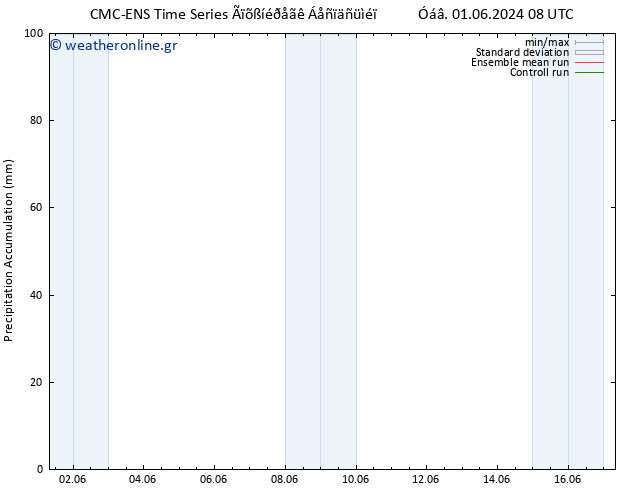 Precipitation accum. CMC TS  08.06.2024 20 UTC