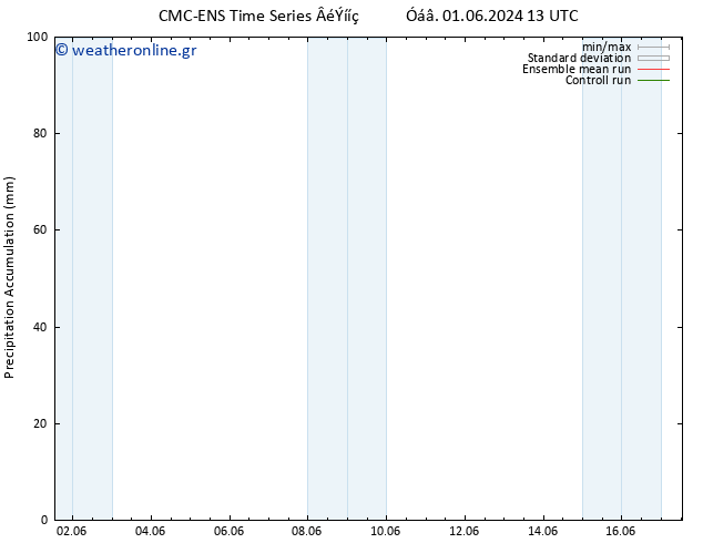 Precipitation accum. CMC TS  05.06.2024 01 UTC