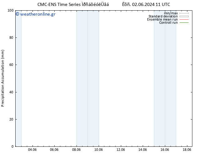 Precipitation accum. CMC TS  13.06.2024 11 UTC