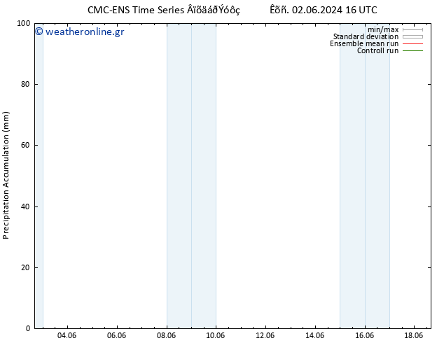 Precipitation accum. CMC TS  02.06.2024 16 UTC