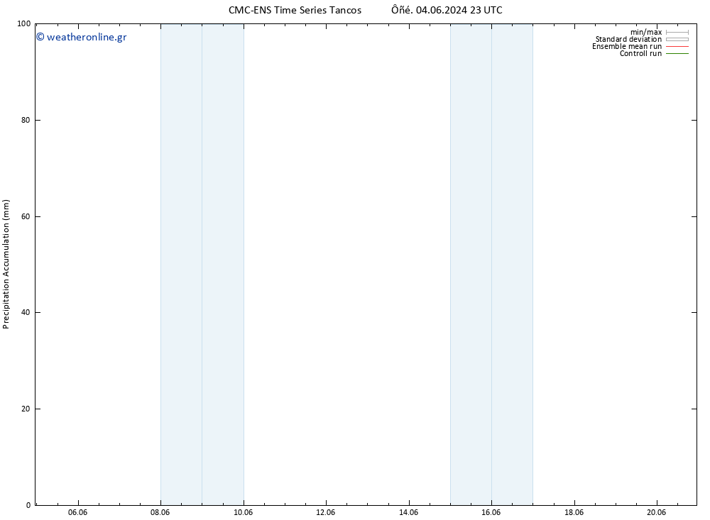 Precipitation accum. CMC TS  12.06.2024 23 UTC