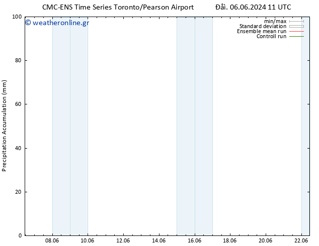 Precipitation accum. CMC TS  13.06.2024 23 UTC