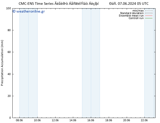 Precipitation accum. CMC TS  07.06.2024 11 UTC