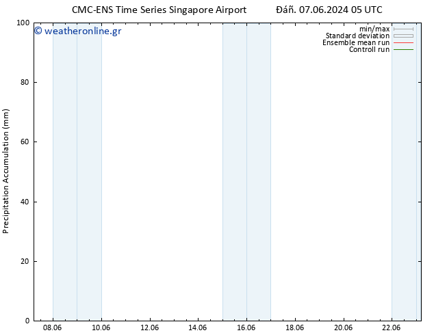 Precipitation accum. CMC TS  07.06.2024 05 UTC