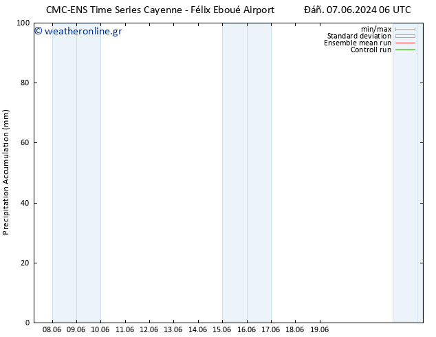 Precipitation accum. CMC TS  13.06.2024 00 UTC