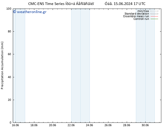 Precipitation accum. CMC TS  23.06.2024 17 UTC