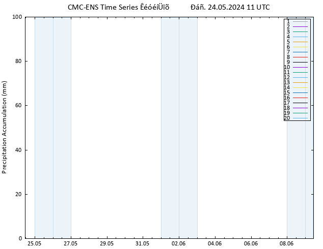 Precipitation accum. CMC TS  24.05.2024 11 UTC