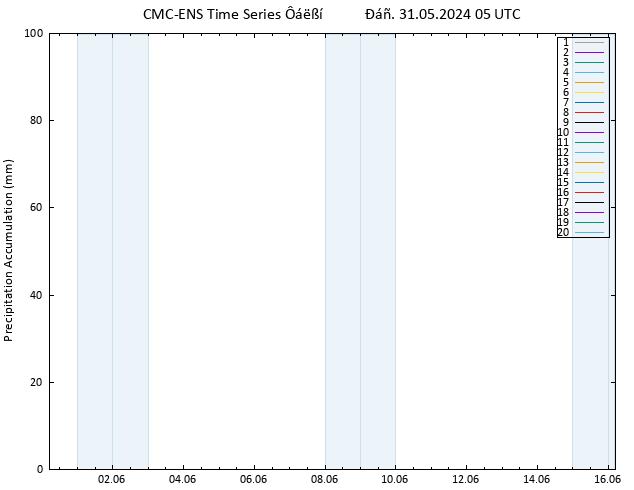 Precipitation accum. CMC TS  31.05.2024 05 UTC