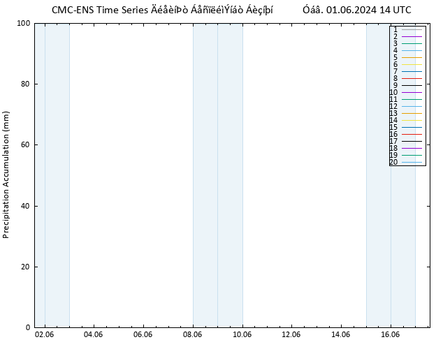 Precipitation accum. CMC TS  01.06.2024 14 UTC
