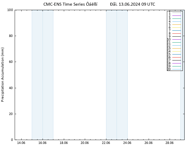 Precipitation accum. CMC TS  13.06.2024 09 UTC