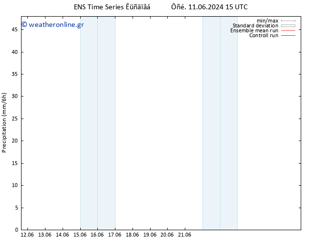  GEFS TS  11.06.2024 21 UTC