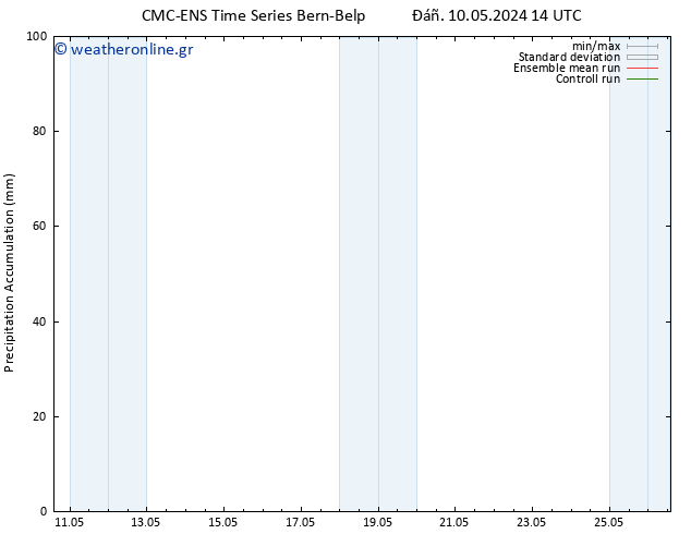 Precipitation accum. CMC TS  13.05.2024 02 UTC
