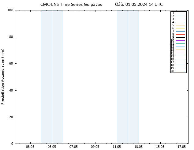 Precipitation accum. CMC TS  01.05.2024 14 UTC