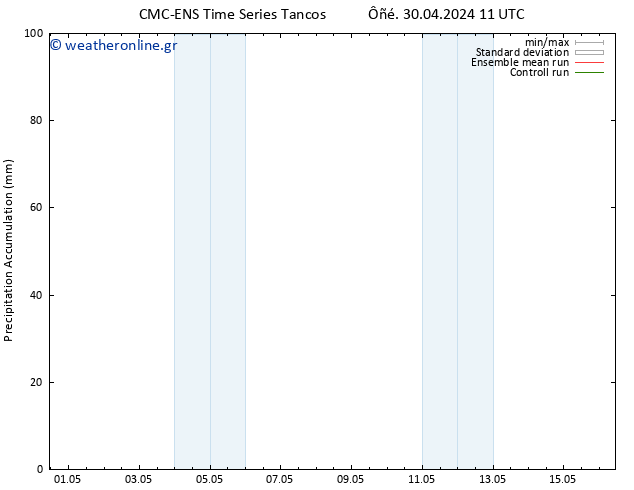 Precipitation accum. CMC TS  30.04.2024 17 UTC